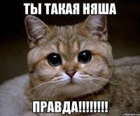 Ты такая НЯША ПРАВДА!!!!!!!!