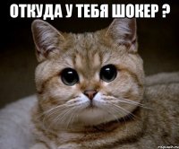 ОТКУДА У ТЕБЯ ШОКЕР ? 