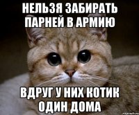 нельзя забирать парней в армию вдруг у них котик один дома