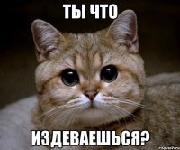 ты что издеваешься?