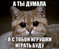 а ты думала я с тобой игрушки играть буду