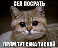 сел посрать прям тут сука тискай