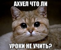 Ахуел что ли уроки не учить?