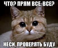 Что? Прям все, все? Неси, проверять буду