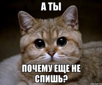 А ТЫ почему еще не спишь?