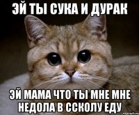 эй ты сука и дурак эй мама что ты мне мне недола в ссколу еду