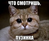 ЧТО СМОТРИШЬ, ПУЗИНКА