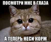 ПОСМОТРИ МНЕ В ГЛАЗА А ТЕПЕРЬ НЕСИ КОРМ
