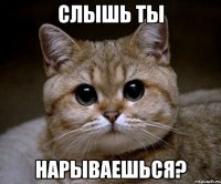слышь ты нарываешься?
