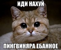 Иди нахуй Пингвиняра ебанное
