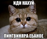Иди нахуй Пингвиняра ебаное