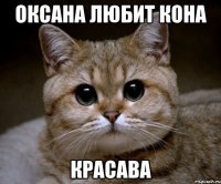 Оксана любит кона Красава