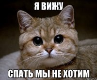 я вижу спать мы не хотим