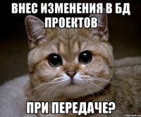 Внес изменения в БД проектов При передаче?