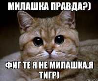 Милашка правда?) Фиг те я не милашка,я ТИГР)