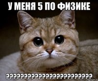 У меня 5 по физике ????????????????????????