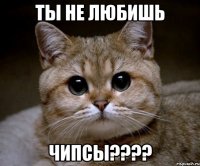 ты не любишь ЧИПСЫ????