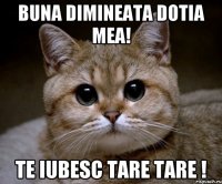 Buna dimineata Dotia mea! Te iubesc tare tare !