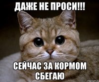 Даже не проси!!! сейчас за кормом сбегаю