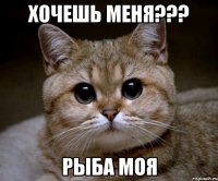 Хочешь меня??? рыба моя