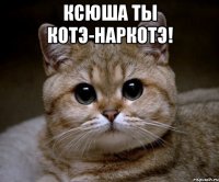 ксюша ты котэ-наркотэ! 