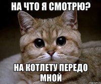 на что я смотрю? на котлету передо мной