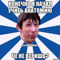 конечно я начал учить анатомию че не веришь?