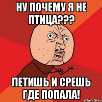 Ну почему я не птица??? Летишь и срешь где попала!