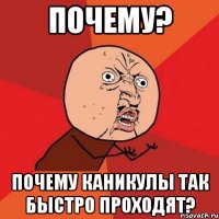 Почему? Почему каникулы так быстро проходят?