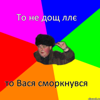 То не дощ ллє то Вася сморкнувся