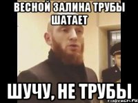 Весной Залина трубы шатает Шучу, не трубы