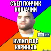 съел пончик кошачий купил ещё куриных