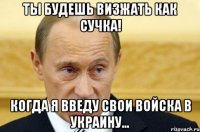 Ты будешь визжать как сучка! Когда я введу свои войска в Украину...