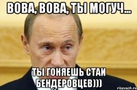 Вова, вова, ты могуч... ты гоняешь стаи БЕндеровцев)))