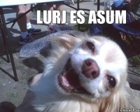 Lurj es asum