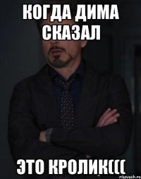 когда Дима сказал это кролик(((