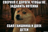 свернул с дороги, чтобы не задавить котенка сбил гаишника и двух детей