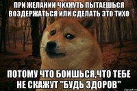 При желании чихнуть пытаешься воздержаться или сделать это тихо Потому что боишься,что тебе не скажут "Будь здоров"