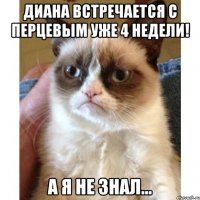 Диана встречается с Перцевым уже 4 недели! А я не знал...