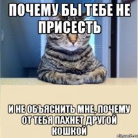 Почему бы тебе не присесть и не объяснить мне, почему от тебя пахнет другой кошкой