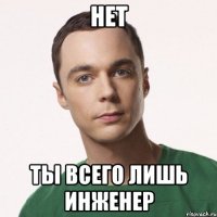 нет ты всего лишь инженер