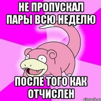 не пропускал пары всю неделю после того как отчислен