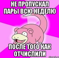 не пропускал пары всю неделю после того как отчислили