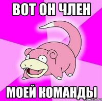 Вот он член моей команды
