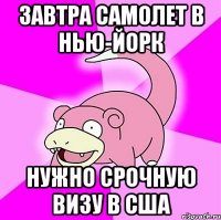 ЗАВТРА САМОЛЕТ В НЬЮ-ЙОРК НУЖНО СРОЧНУЮ ВИЗУ В США