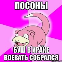 ПОСОНЫ БУШ В ИРАКЕ ВОЕВАТЬ СОБРАЛСЯ