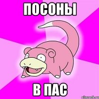 Посоны в пас