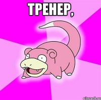 Тренер, 