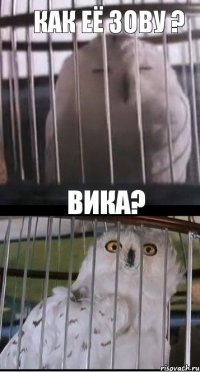 Как её зову ? Вика?