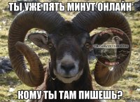 ты уже пять минут онлайн кому ты там пишешь?